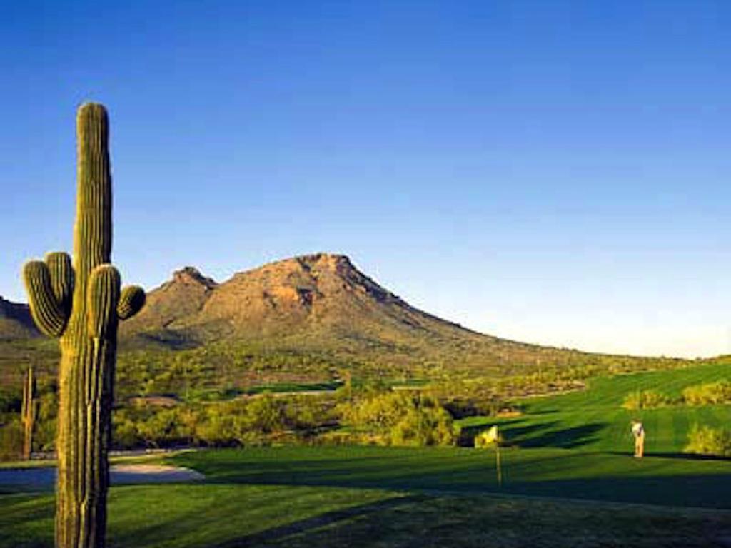 Private Resort Community -- ½ Mile Walk To Hiking & Biking At N. Mtn. Preserve! Phoenix Exterior foto